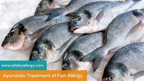 How to Treat Fish Allergy in Ayurveda?