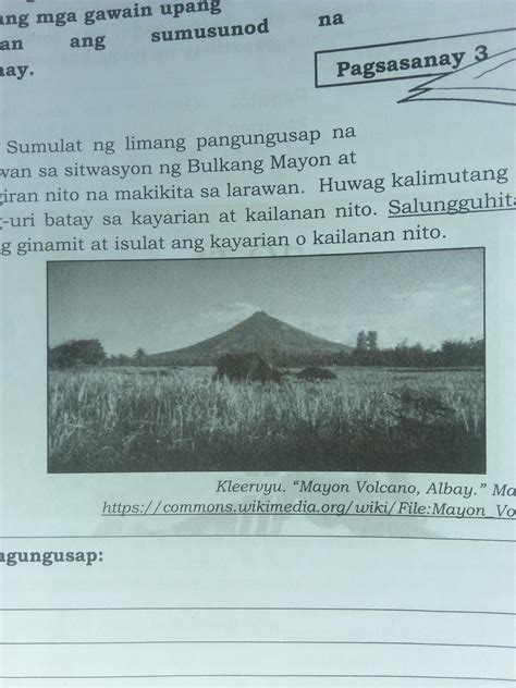 Sumulat Ng 5 Pangungusap Na Naglalarawan Sa Sitwasyon Ng Bulkang Mayon