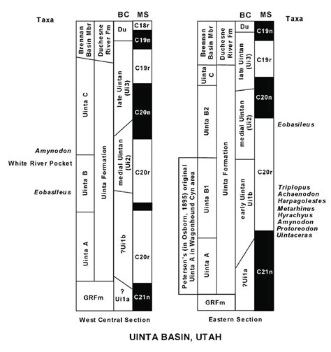 Schematic Stratigraphic Columns Of West Central And Eastern Sections Of