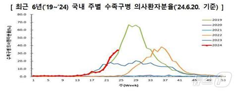 수족구병 환자 최근 한 달 간 23배 증가영유야가 902