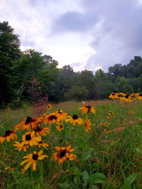 Brown County Indiana : r/Indiana