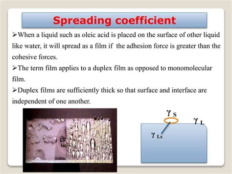 Surface And Interfacial Phenomena Ppt