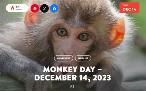 How Did "Monkey Day" Begin? - South Florida Reporter