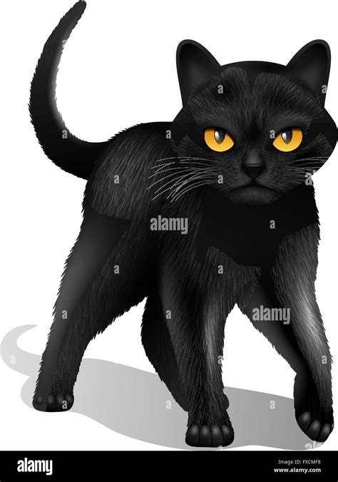 Black Cat Realistic Stock Vector Image And Art Alamy