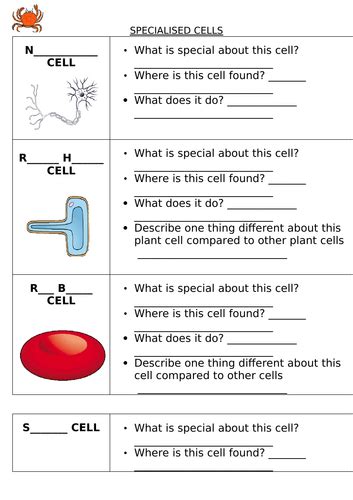 Year 7 Cells Ppt And Worksheets Teaching Resources