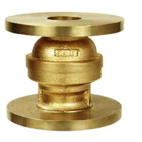 Sant Non Return Valves At Rs 1000 Piece SS Non Return Valve In New