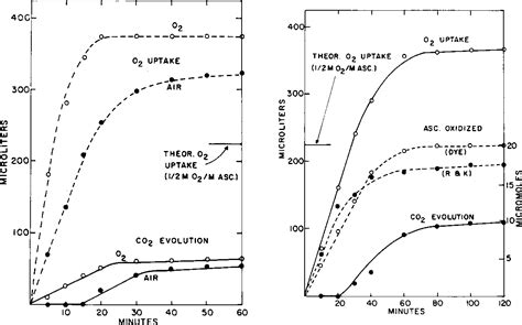 Figure From Reaction Properties Of The Ascorbic Acid Oxidase From