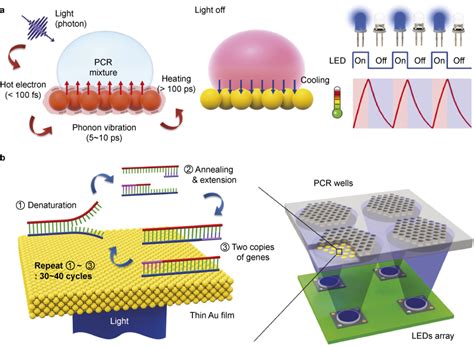 Ultrafast Photonic Pcr A Schematic Of The Plasmonic Photothermal