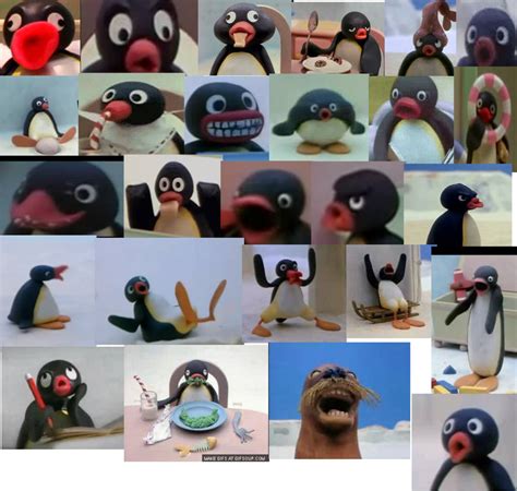 Pingu Funny Moments Collage By Cartoonyiscool On Deviantart