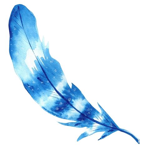 Premium Photo Watercolor Illustration Of Blue Feather Jpeg Illustration