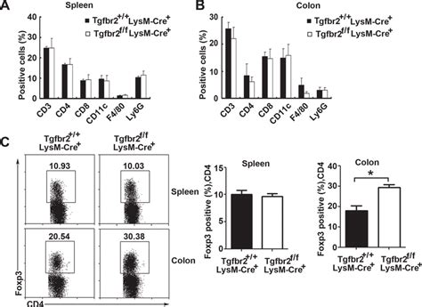 Alteration In Lamina Propria T Reg Cells In Myeloid Tgfbr Deficient