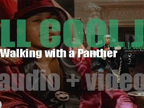 Ll Cool J S Walking With A Panther Rvm Radio Video Music