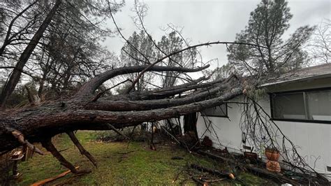 Winter storm causes tree to fall through Redding woman's roof