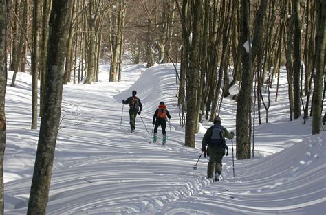 Tre Giorni Di Trekking Nella Magia Delle Foreste Casentinesi Montagna Tv