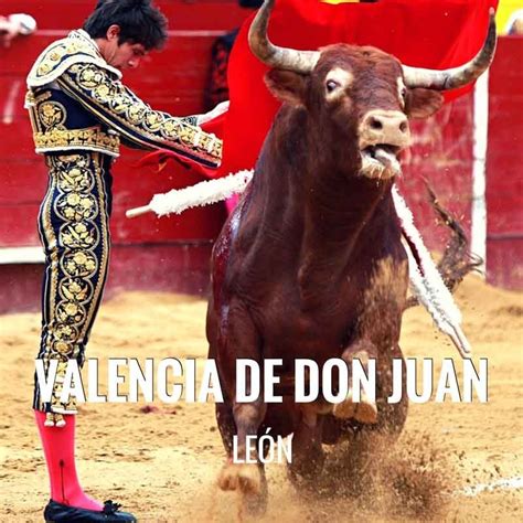 Bullfight Tickets Valencia De Don Juan Bullfighting Fair Servitoro