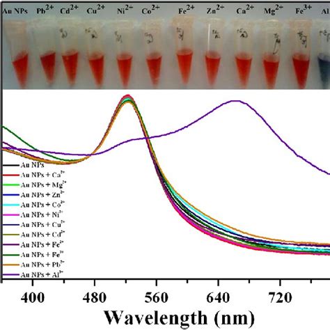 UV Visible Absorption Spectra Of The Au NPs And Au NPs Solutions Mixed