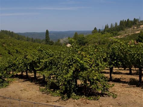 El Dorado County Wineries California Sierra Foothills