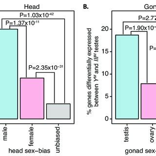 Sex Biased Expression Of Genes Differentially Expressed Between YM