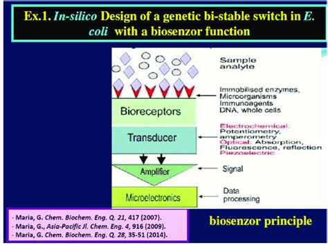 Case Study In Silico Design Of A Genetic Switch In E Coli With The