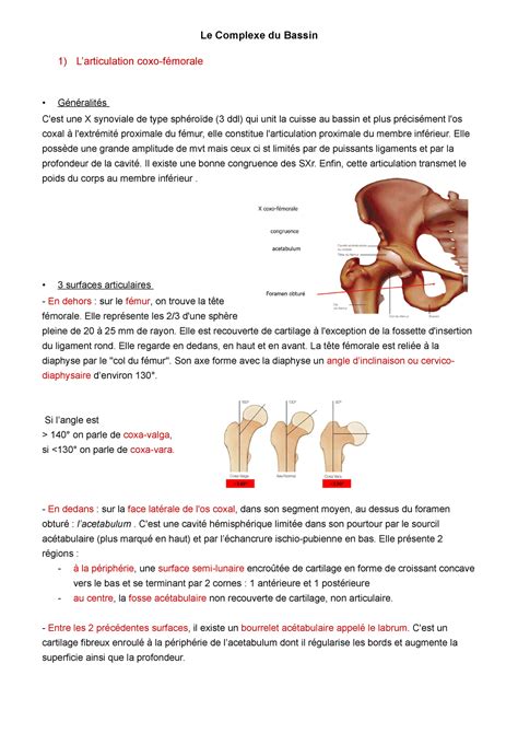 Cm Arthrologie Hbeyesuji Le Complexe Du Bassin Larticulation