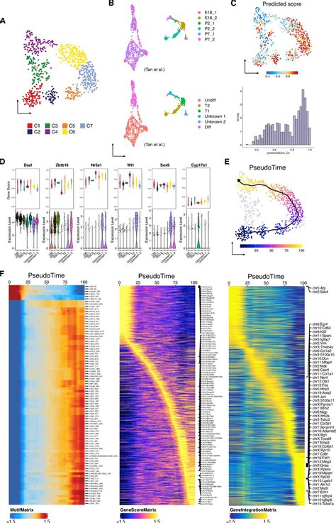 Figures And Data In The Single Cell Chromatin Accessibility Landscape