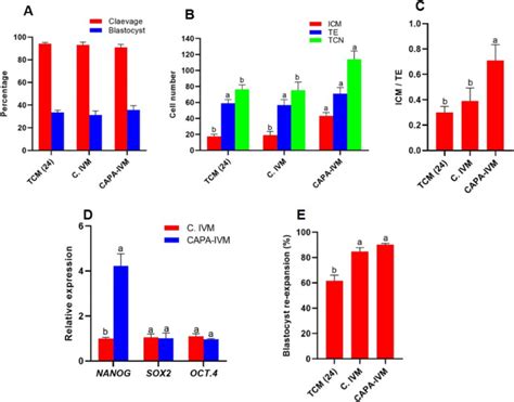 In Vitro Development Of Scnt Embryos In Capa Ivm Group Cocs Were