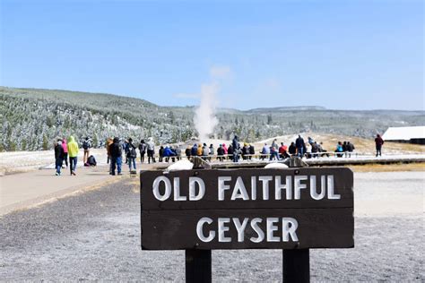 10 Essential Tips for Exploring Yellowstone in Winter