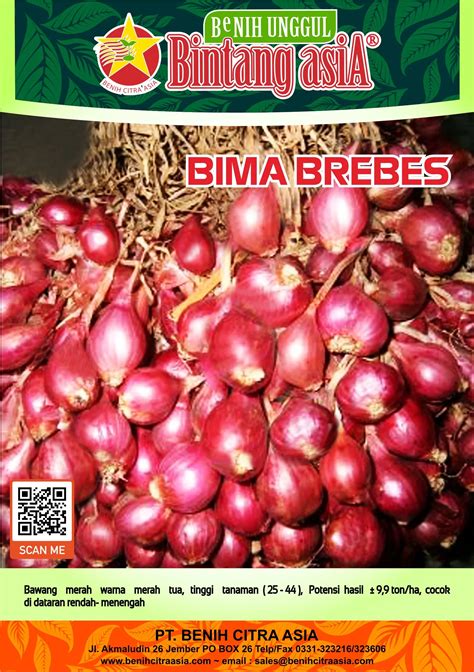 Bima Brebes Bintang AsiA