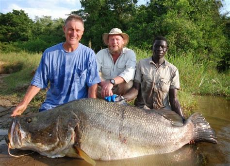 Big Fishes Of The World Nile Perch Page 2