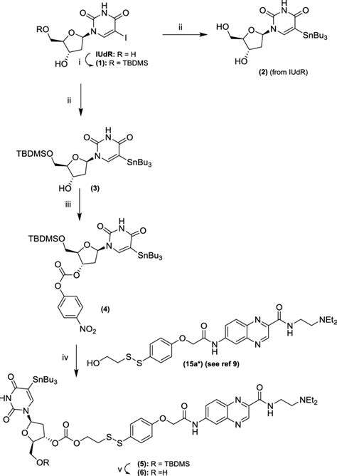 Scheme 1. Synthesis of organotin precursors (2) and (6) for... | Download Scientific Diagram