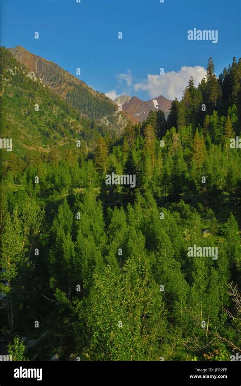 Peaks Over Mineral King Valley Sequoia National Park California