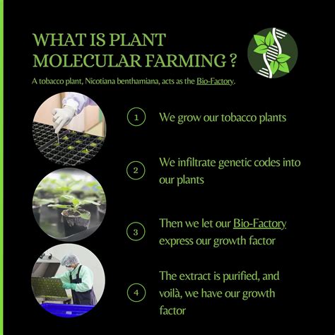 BGF Plantrix (@BGF_Plantrix) / Twitter