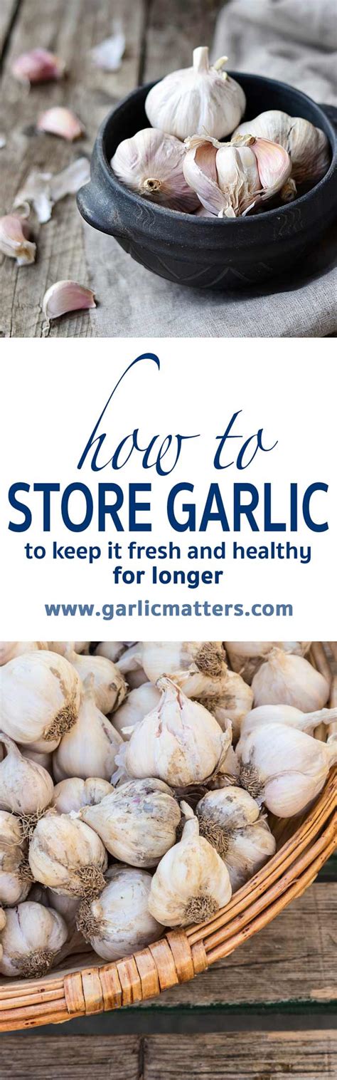 How to store garlic | Garlic Matters