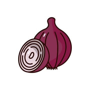 Onions Clip Art Library