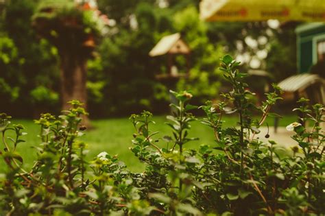 Quelle est la taille et le modèle idéal pour un abri de jardin