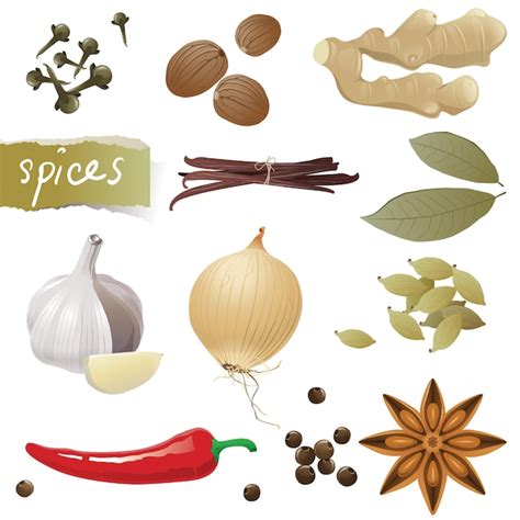 Premium Vector Spices Set