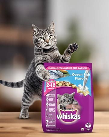 Whiskas Kitten Months Dry Cat Food Ocean Fish Kg Pack