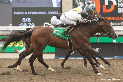 Debut Winner Break the Spell Tries $125K Display - Past The Wire