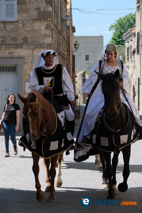 Tarquinia Il Cinghiale Bianco Prende Le Distanze Dalle Critiche Al