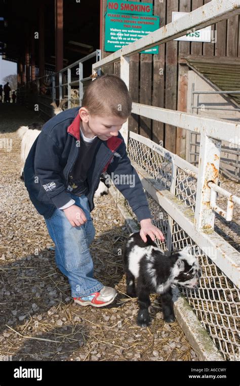 Animal Farm Petting Zoo - Up Close Adventures For Animal Lovers Petting ...