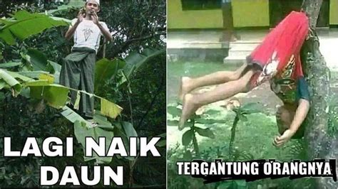 Meme Benar Tapi Salah Ini Kocak Ampuh Bikin Ketawa Hot Liputan