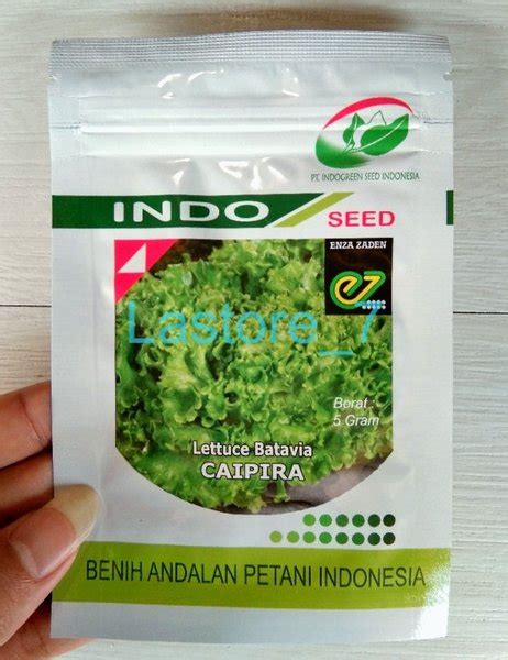 Jual Benih Selada Caipira Lettuce Batavia Kemasan Gram Original