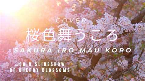 Sakura Iro Mau Koro 桜色舞うころ Mika Nakashima Cover Or A Slide Show Of Beautiful Cherry