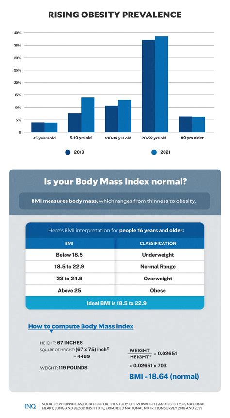 Obesitys Heavy Toll Millions Of Filipinos Now At Greater Health Risks