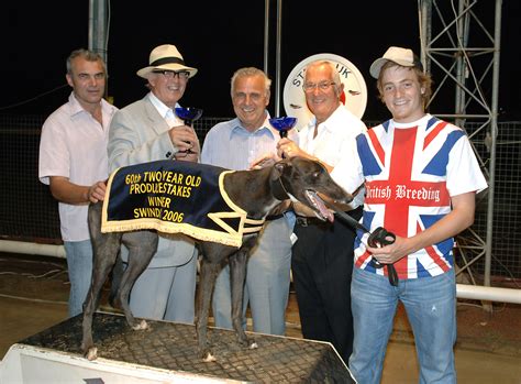 SAVVA: TRAINING 2/3 - Greyhound Star | News from the Greyhound Industry