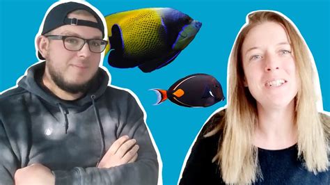 ACDP Vlog 3 Notre Morning Routine d élevage de poissons d aquarium