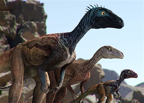 Eoraptor Pictures & Facts - The Dinosaur Database