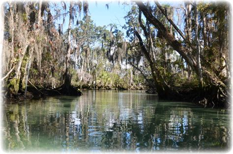 Crystal River, Florida - National Wildlife Refuge - Three Sisters Springs