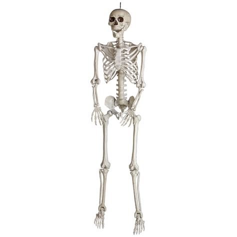 Holiday Living 5.11-ft Plastic Skeleton at Lowes.com