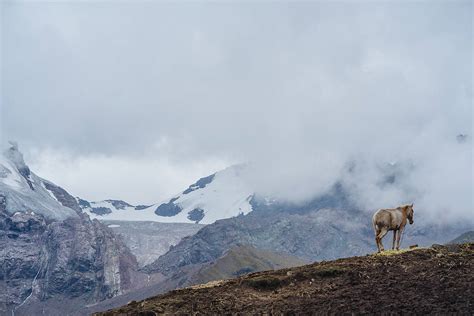 "Horse In The Mountains Covered By Snow." by Stocksy Contributor "Luis ...